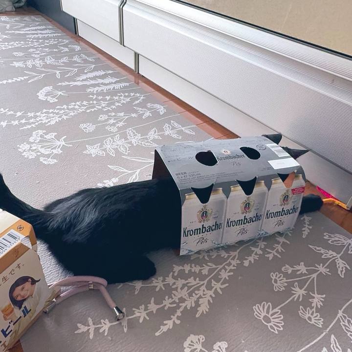 84417494 1d18 44d2 8a99 e7d6b0b30fc5 1727063884964