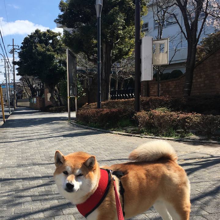 84419fb5 49df 4524 b427 6b4216b17072 1614224632828