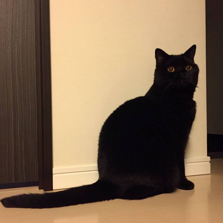 8441e780 104e 473d b2fb 9181dc761458 1561379259059