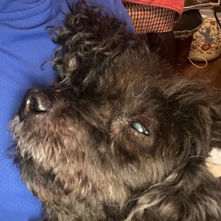 84422554 0cb6 454d becb fb2e09fc151e 1602332724534