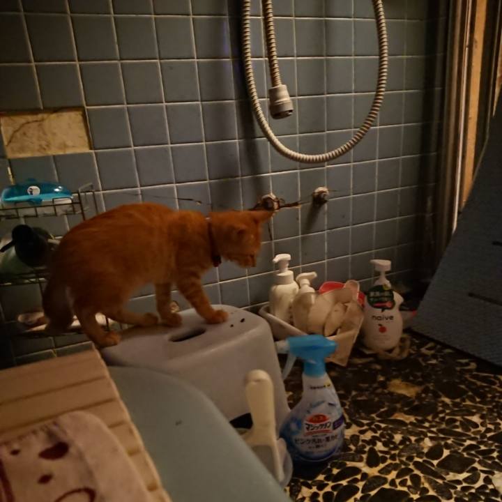 84425cca 9700 48b6 ae7a eb5df62cfb2e 1630662220408