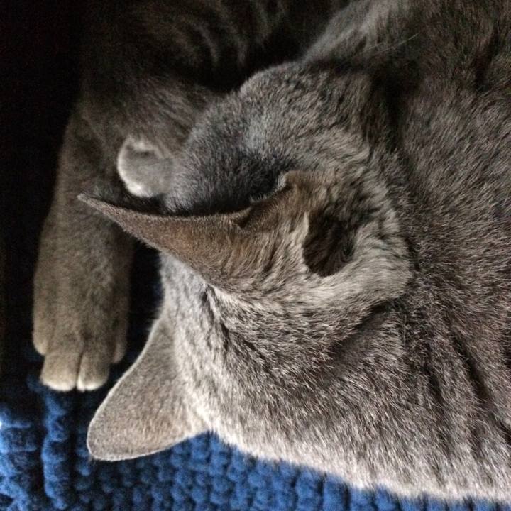 84427332 54c3 4f79 bee3 7239be12ada7 1545086048607