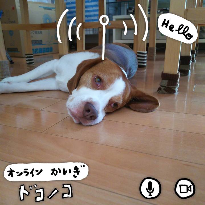 84428470 9fad 4890 be94 4b1feb4a8305 1593402773448