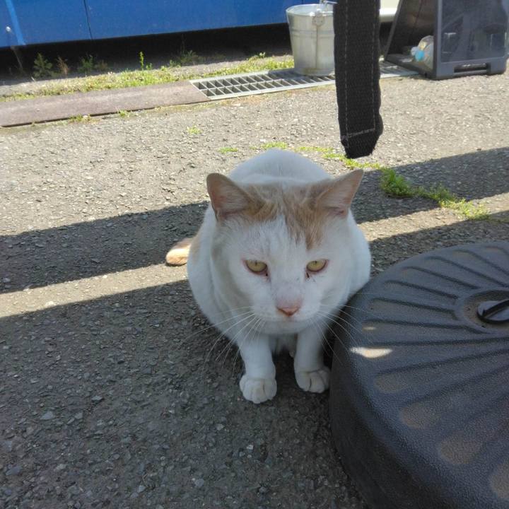 8442a873 09e3 4e14 95e7 e10a9b3ddc73 1683879464869