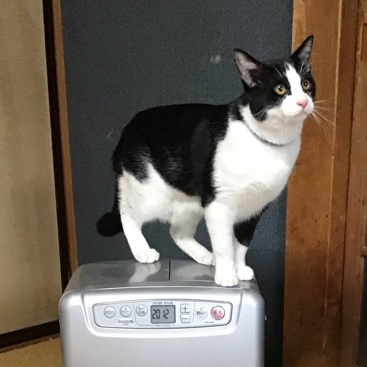 8442d8a7 6c32 4608 88e1 535adb3f69aa 1638137187345