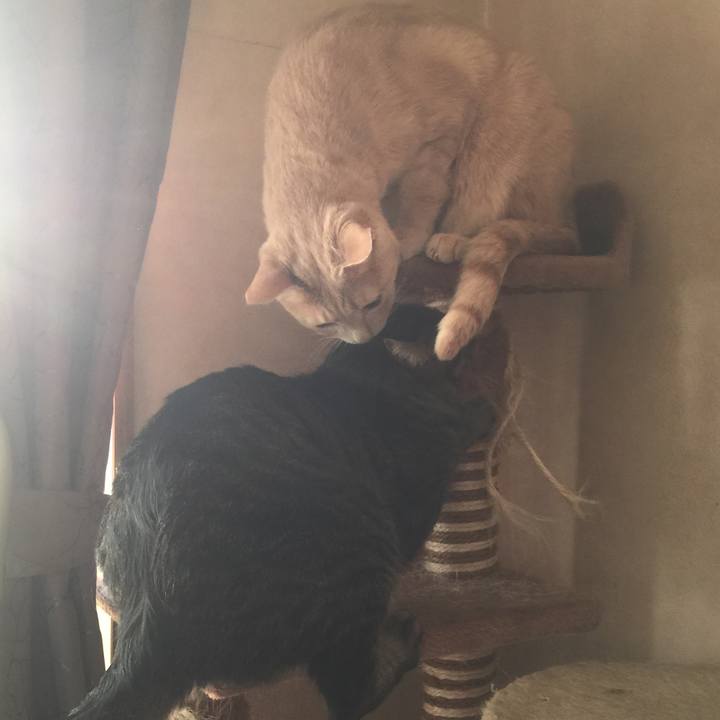 8442e278 7251 4f72 bc9d 33eae1c3a155 1522223602442