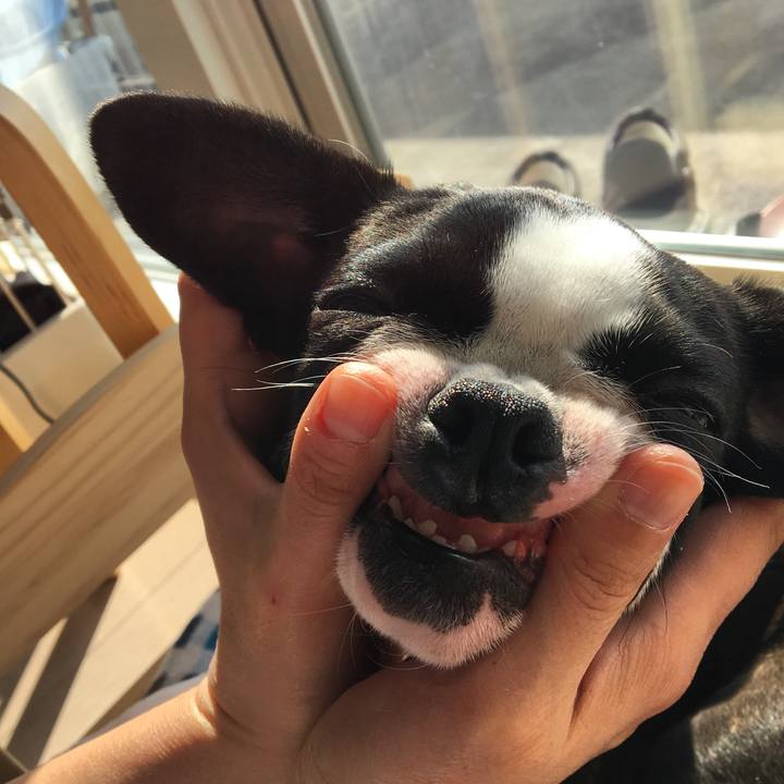 8442fb50 4c58 4ffc 8f51 1085af56d1b2 1518153688926