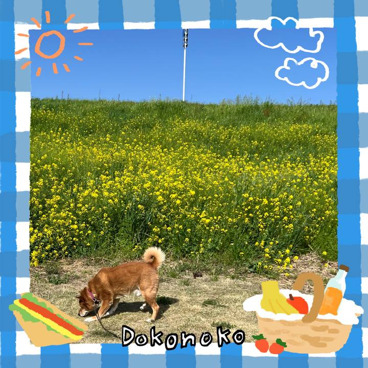 84433d50 3002 4fdb a705 00b30a963d95 1744681426967