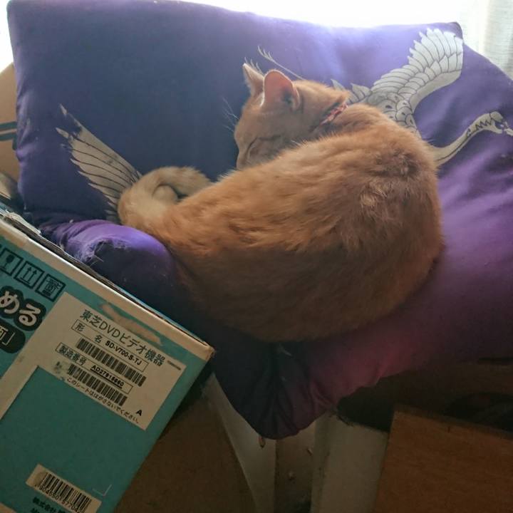 8443552e aeda 4e3f a15f 1fa025c896d6 1597960505524