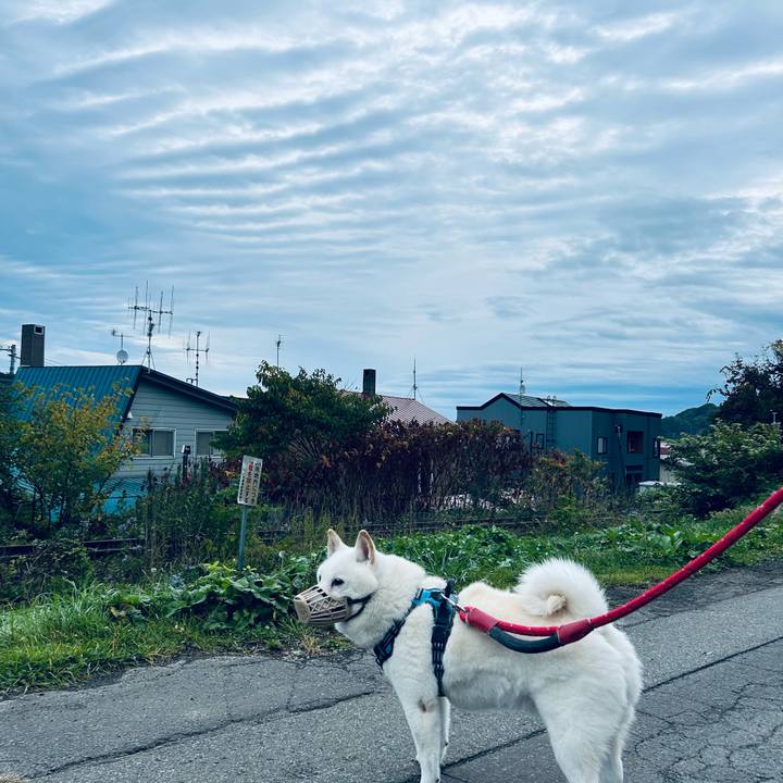 8443ea95 40e6 4f3d 9c8e 12b2ec0ccbbb 1728254854509