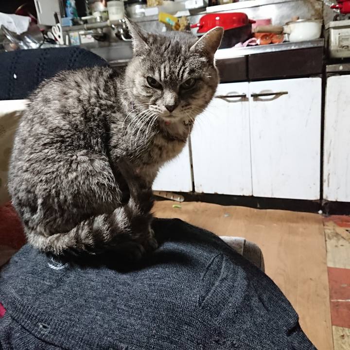 8443ffc0 566b 4609 b6f8 53d83035b5e6 1578513711600