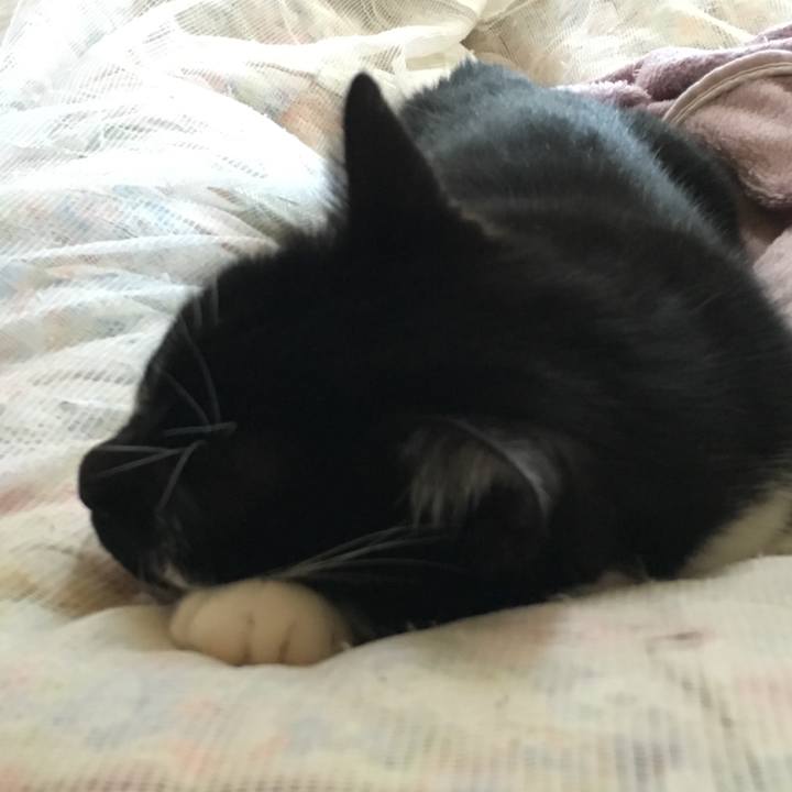 8444117a a41f 46ae b3d4 9714a75335eb 1520411284252