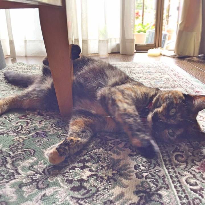 84442c73 90b1 483c 84f2 ce8243f333c7 1588647079971