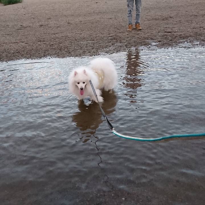 84442fde 1fe0 4312 aae3 2e8fe69c9e16 1567936672913