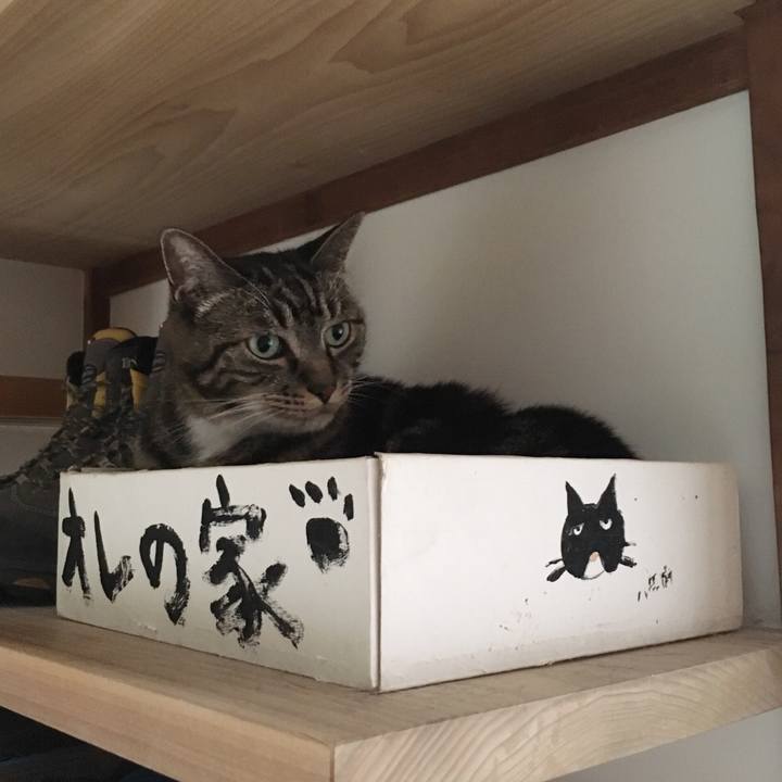 84448688 93a9 4571 9ff8 30b2a43ed951 1533950911059