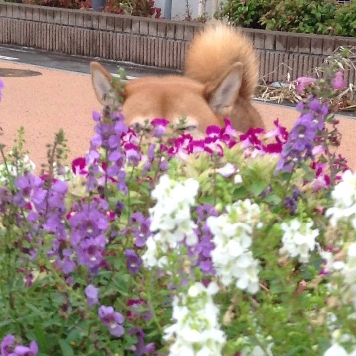 844495bd 0408 43d0 b5d8 e9962f71637a 1539230909926