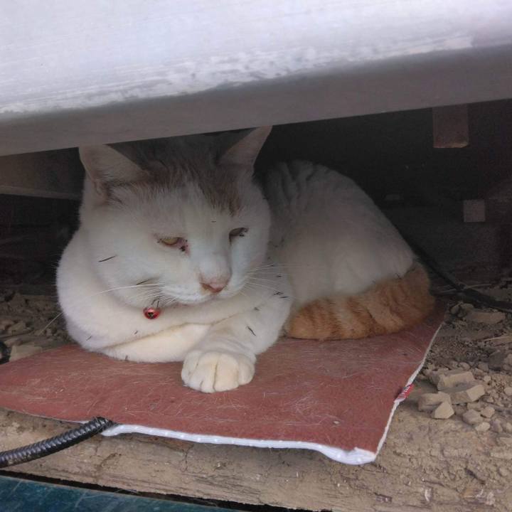 8444995b 57ac 4847 b709 11681293fce8 1670584136024