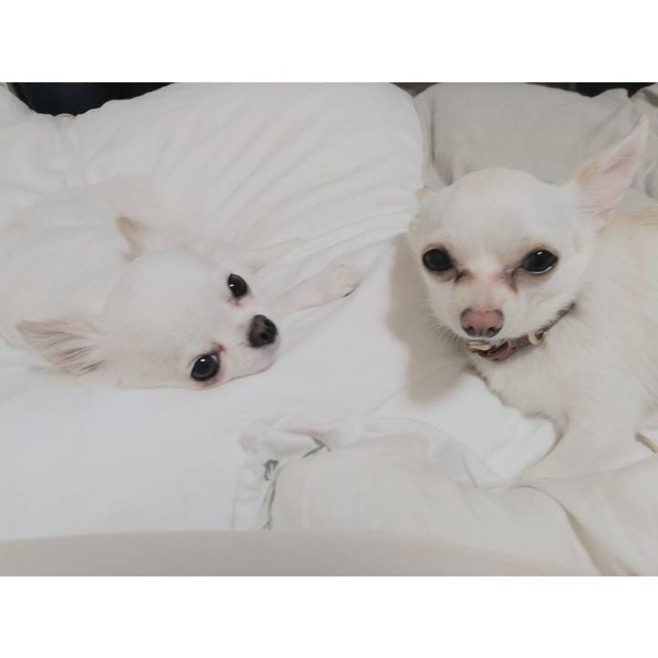 8444ae98 a4b4 49cb a2e8 932811495168 1750081429585