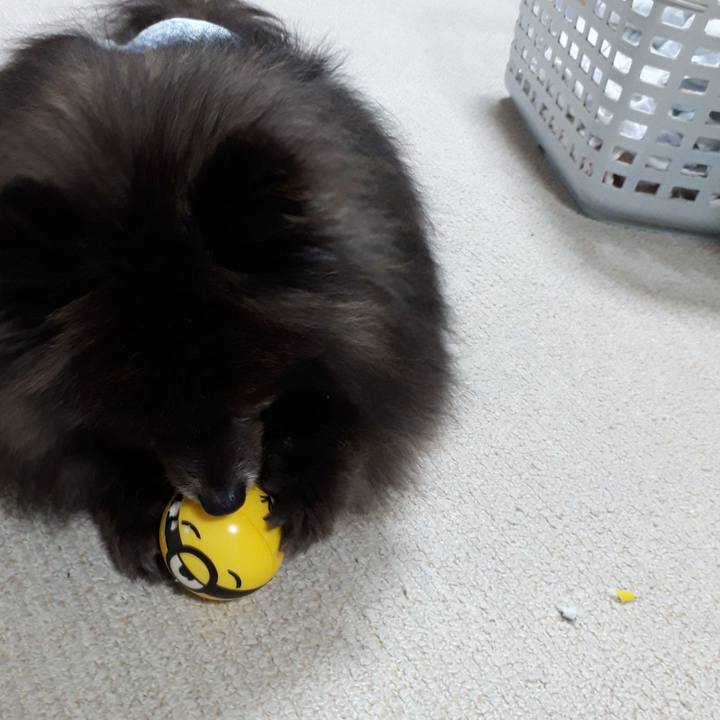 8444bef9 b916 4159 a015 65def7bce76b 1517604556399