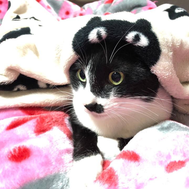 8444d298 fc17 447d 831c 1c6f081e79f9 1545692315661