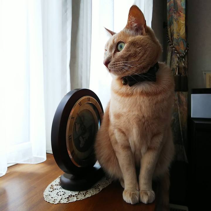 8444da80 39a2 4931 b72b 425b009c8392 1636848775516