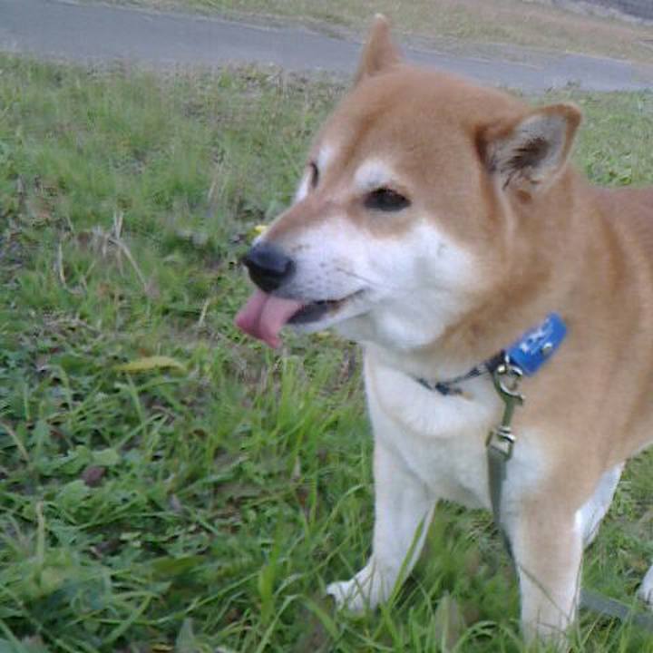 8444dd78 0685 443c 92f7 bf883aab8981 1544873546754