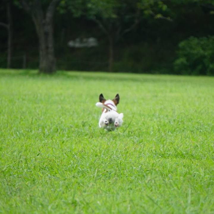 84452808 9983 41ba b602 34c4142a2219 1534460278872