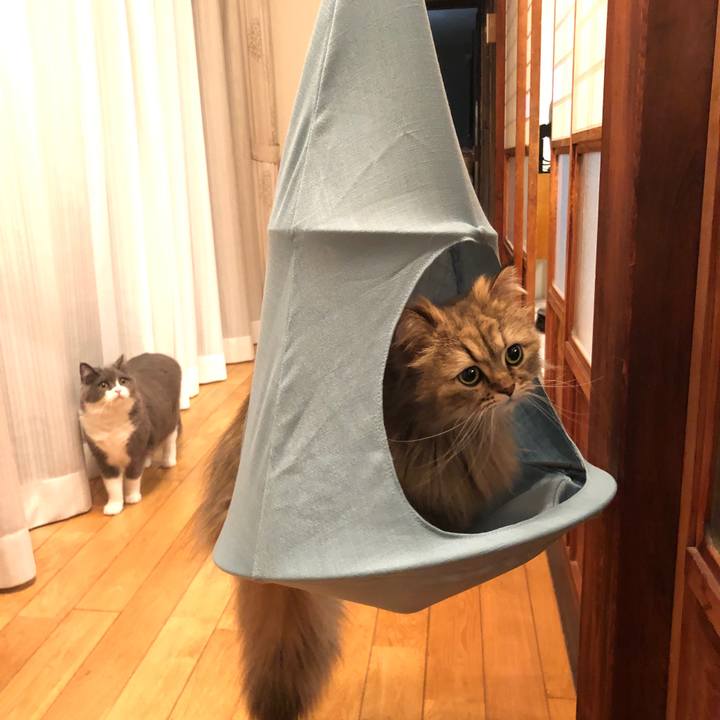 84455326 a6cb 47b6 8213 4c5868780ee6 1555415489080