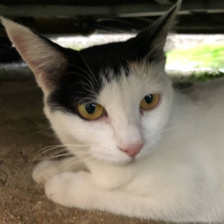 84457b33 7211 4791 9f70 8b06ab5a1ce0 1598695048573