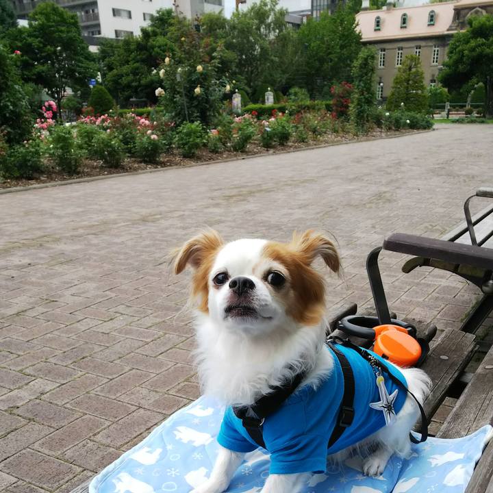 844596b4 ca34 4634 ab97 6bad5e496e52 1531815127740