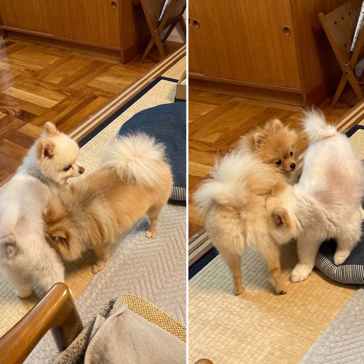 8445b2c5 9801 4820 b8e8 a5f45c2d48d3 1657715425970