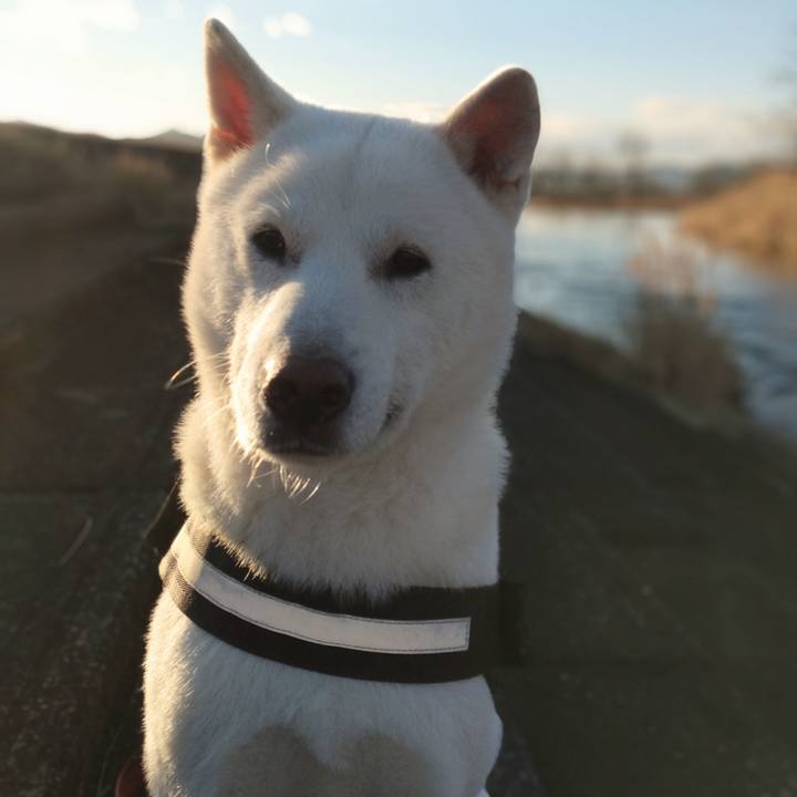 8445d604 6c6d 4c41 a7c6 128492ed1e03 1672486040046