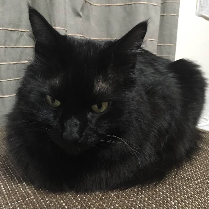 8445ea4b 94bb 4856 9198 ded3cecf7d5a 1517562747821