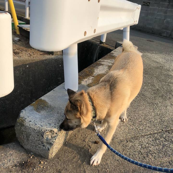 8445eb57 2b88 4a0f 840b eaa7801e67c8 1586431593250