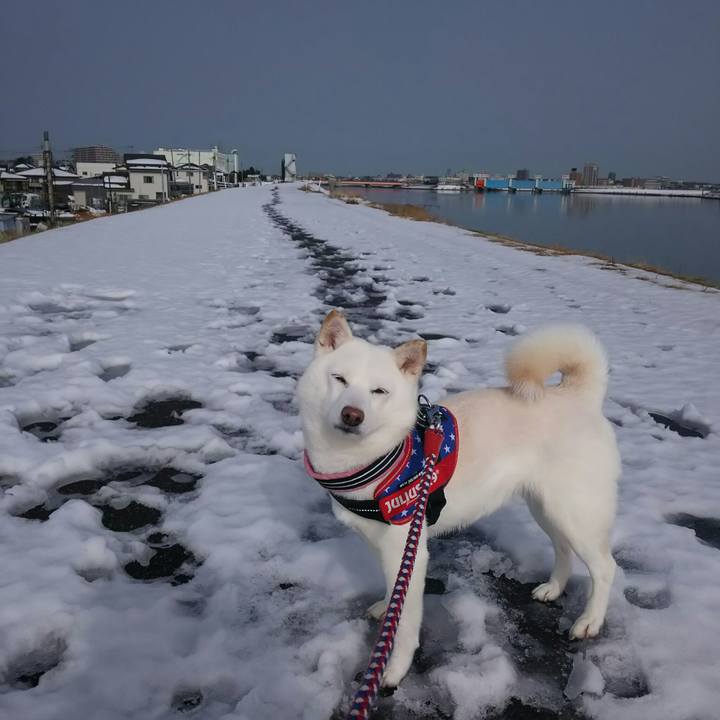 844628be 34c8 4739 b34d 3b43a84ae3bc 1610678457299