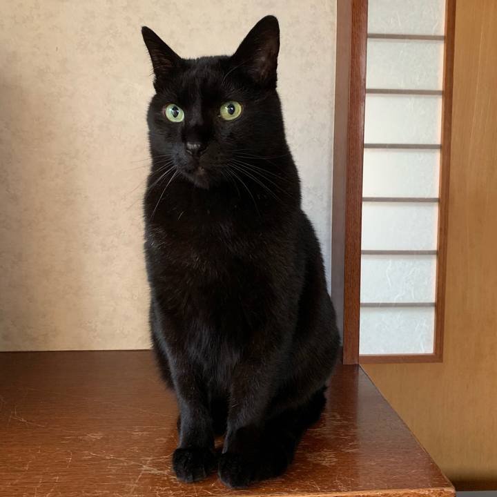 844631d0 eea9 43c3 85f9 cb2def785616 1550797433018