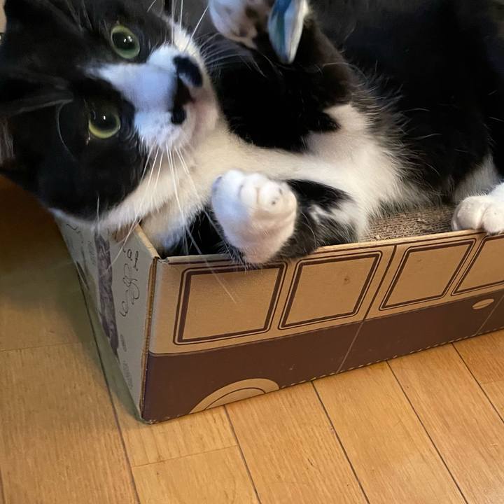 8446599a 3c1b 4b36 b79c df25f59af834 1660392993961