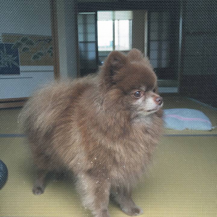 84467d35 ff5b 4268 a9c0 b569dfdf2a86 1531612389080