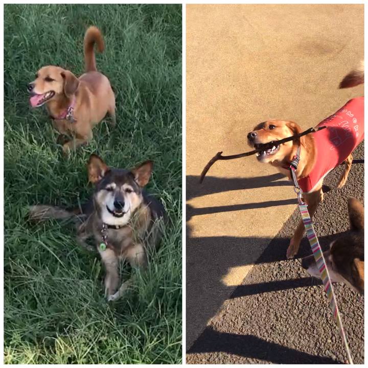 8446908d 68a6 43d5 8399 51abf145e4b6 1551779893099