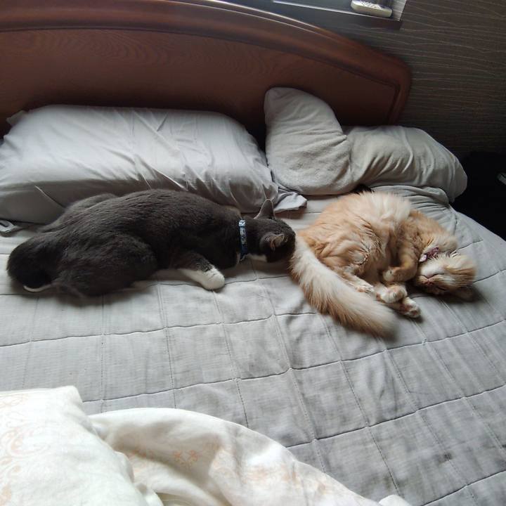 8446cdb6 d7c0 42f4 8d02 bbcd544e8654 1665921290142