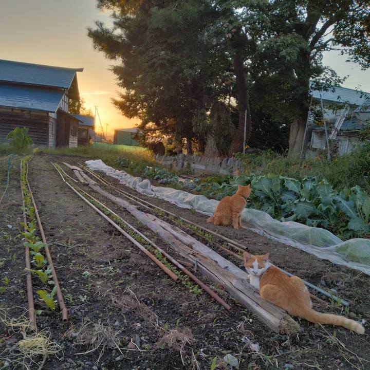 8446dd34 2402 4fe1 8ff3 a5dfe0dbc7be 1757927733318