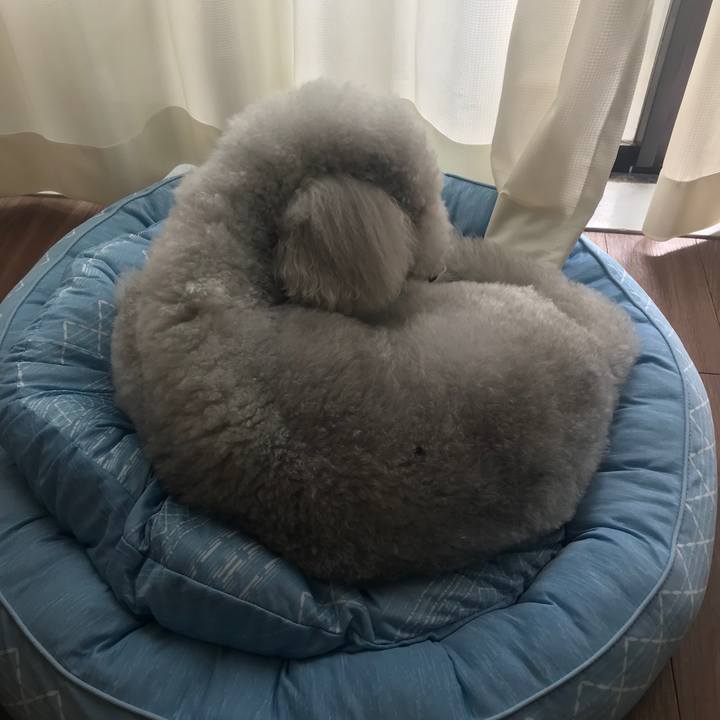 8446e5b2 39ec 45ec 983c 5de0a0e5016a 1657427854629