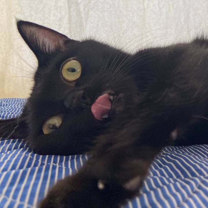 8446fc16 b901 45ce 838d 1a82efd2a4ba 1634213021716