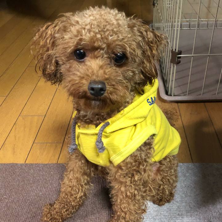 84473291 8397 48b7 a027 4048eb3a0a7f 1529410559969