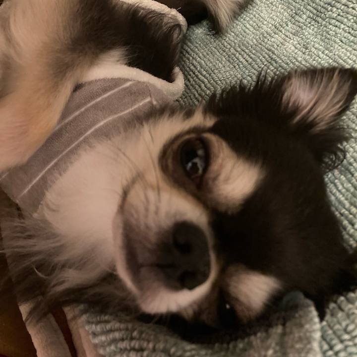 84473353 b744 4432 ac6c cdf4baec7114 1715513475989