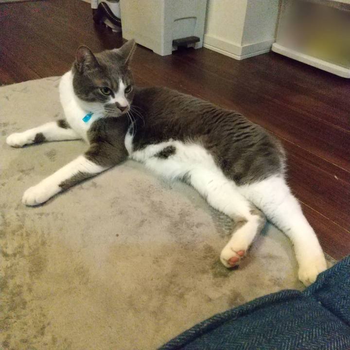 84473566 2925 445f 81bc 83969158d313 1645452390918