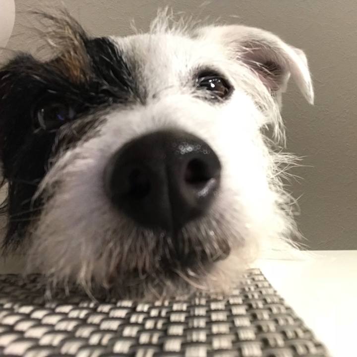 84477f21 920f 4f82 88a2 c2c511b3867c 1524397195886