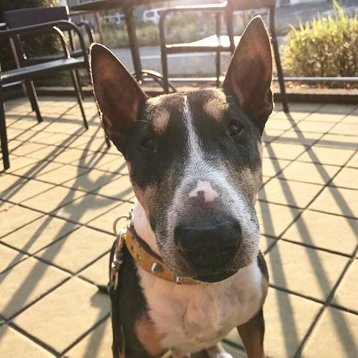 8447867f d23f 4d3a a2bf 4c7b8a60f57f 1509864302977