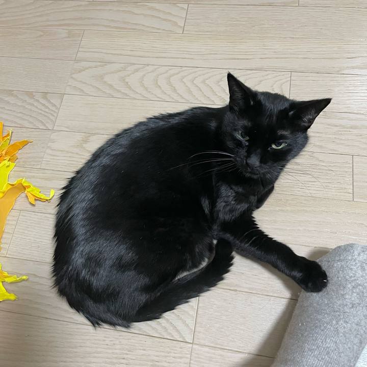 8447920a 2441 41d5 9a12 a74cfb54f3ad 1707037710338