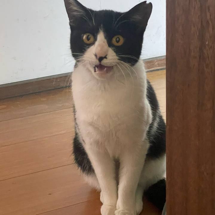 84479c1b 29af 48c1 bd06 a4b6dfdad252 1681086890904